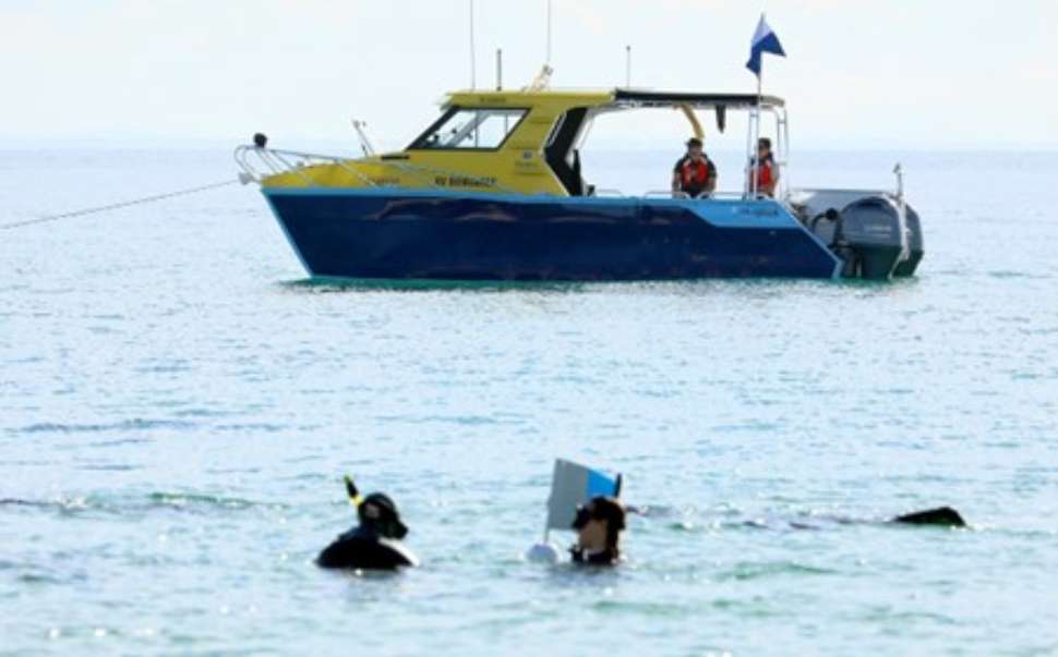 bungaree-diving.jpg